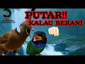 Lagu WAJIB PUNYA SUARA INI ‼️ KOMBINASI CILILIN DAN TENGKEK BUTO DISERTAI SUARA HUTAN - WAJIB BUAT TERAPI