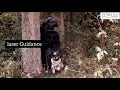 K9 VISION SYSTEM - A Canine Camera System
