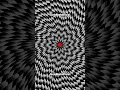 EVERYTHING around you is going to shrink optical illusion