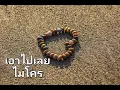 เอาไปเลย - ไมโคร