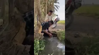 عجائب وطرائف الحاج كابو واولاده 