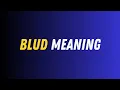 Blud Meaning
