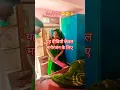 Download Lagu #Video अवधेश प्रेमी यादव का नया सुपरहिट भोजपुरी वीडियो | रही बईठल केरा के थम प |#short😁🥱🙏