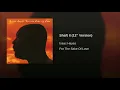 Shaft II (12” Version)