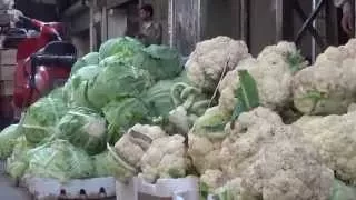 وثائقي قصير عن مدينة دوما 