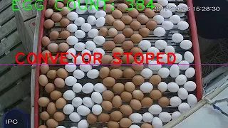 Test of egg detection with opencv