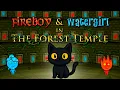 Fireboy Watergirl - Coolmath Games