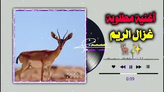غزال الريم ليبيا ليبيا طرابلس مصر تونس المغرب الخليج تصميم فيديوهات اليمن زوامــــــل من ا دندنها