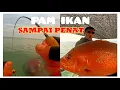 Download Lagu TEKNIK MEMANCING SANGKAR KUALA GULA KUALA KURAU