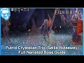 Putrid Crystalian Trio Sellia Hideaway - Full Narrated Boss Guide