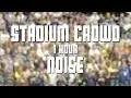 Stadium Crowd Noise - Cheering Crowd