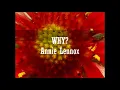 Why - Annie Lennox  (With Lyrics)