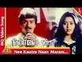 Download Lagu நீ காற்று நான் மரம் பாடல் | நிலாவே வா தமிழ் படப்பாடல்கள்| விஜய் | சுவலட்சுமி | பிரமிட் இசை