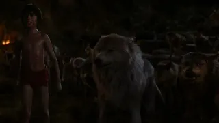 ספר הג ונגל 2016 מוגלי נגד שירחאן חלק 1 