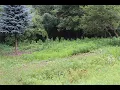 LOT 149 Greensboro Way Gladwin MI - 20261060638