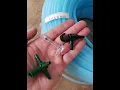 Tubing Installation - How to Guide