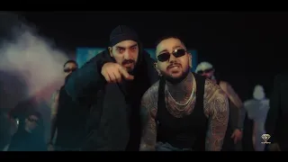                                                        دندنها