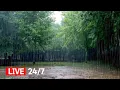 Download Lagu Zware stortregens klinken in het park. Vergeet uw zorgen en val snel in slaap.