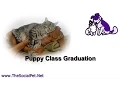 Puppy Class Graduation