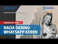 Cara Download Sound of Text Keren Sebagai Nada Dering WhatsApp