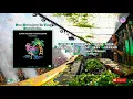 Oliver Heldens - Flamingo vs. House Every Weekend (Oliver Heldens Mashup) [OscarL Remake]