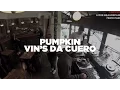 Download Lagu Pumpkin \u0026 Vin'S da Cuero w/ DJ Lyrik • Live Set • Le Mellotron