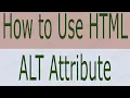 How to Use alt Attribute HTML - What is alt Attribute Why We Use
