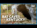 Carter Caves State Resort Park Olive Hill KY Kentucky Life KET