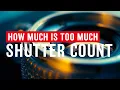 How Much Is Too Much Shutter Count