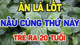 Ăn lá lốt nấu cùng thứ này gan thận hồi sinh, trẻ ra 20 tuổi