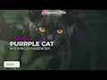 FREE Mysterious Passenger by Purrple Cat. LoFi easy listening
