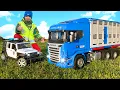 Download Lagu Speelgoedauto's Bruder en politieauto zitten vast. De dierenvervoertruck is aangekomen om te helpen.