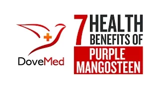 MANGOSTEEN WITH 19 HEALTH BENEFITS // QB VLOGS. 