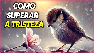 Mensagem de Bom Dia e Reflexão  - Como Superar a Tristeza?