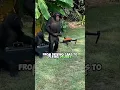 Download Lagu Chimpanzees Flying Drones and Driving Cars: The World's Smartest Primates