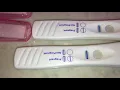 Am I PREGNANT Or NOT Pregnancy Test TTC Faint Positive