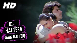 dil hai tera jaan hai teri alka yagnik kumar sanu muqaddar 1996 hd songs rohit kumar simran