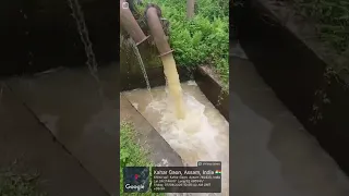                     دندنها