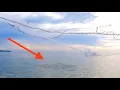 Download Lagu CABARAN MENJALA IKAN SELAR WAKTU AIR JERNIH🇲🇾