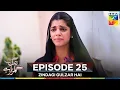 Download Lagu Zindagi Gulzar Hai Episode 25
