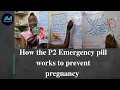 How the P2 Postinor-2 emergency pill works to prevent pregnancy and When to take Contraceptive