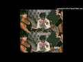 Playboicarti - Magnolia