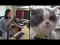 The Kiffness - Big Billy (Singing Cat) [FULL Version]