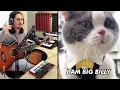 Download Lagu The Kiffness - Big Billy (Singing Cat) [FULL Version]