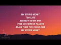 Walk off the Earth - My Stupid Heart (Lyrics)