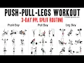 3 Day Push Pull Legs (PPL) Workout Routine