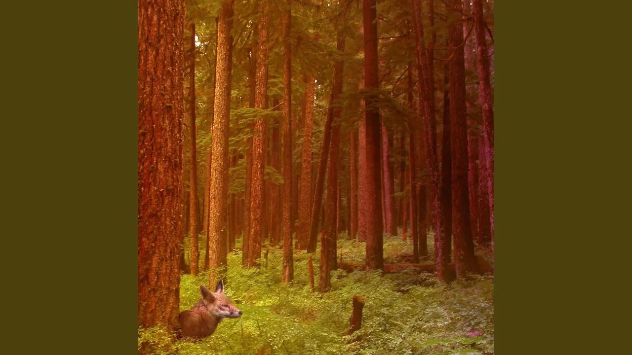 Mr. Fox in the Fields Mr. Fox in the Fields