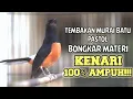 Download Lagu PANCINGAN MURAI BATU PASTOL ISIAN KENARI 100% COCOK MEMANCING EMOSI AGAR LANGSUNG GACOR