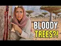 The Island Where the Trees Bleed and Nobody Can Reach It