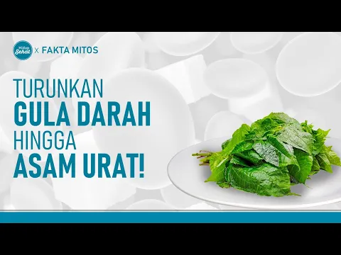 Pohpohan Bukan Sekedar Lalapan, Banyak Manfaatnya Untuk Kesehatan